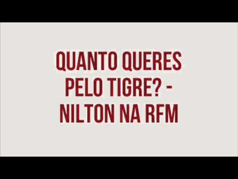 RFM - Nilton - quanto querem pelo tigre?