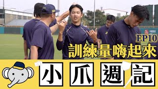 [討論] 陳琥體態控管也太誇張了吧