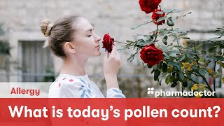 What is today's pollen count