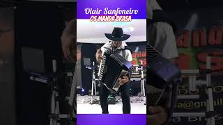 Olair Sanfoneiro tocando aquele forrozinho da roça gaúcho #music #somodao #roça #baile #musica