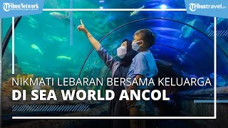 Nikmati Kegembiraan Libur Lebaran Bersama Keluarga dengan Berwisata ke Sea World Ancol Jakarta