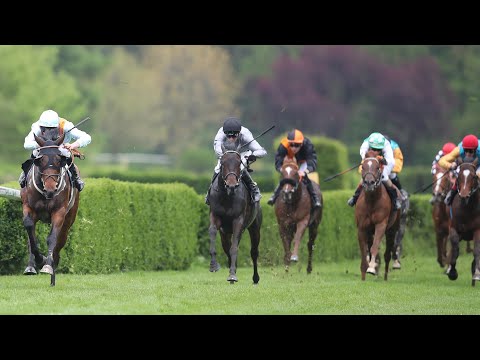 Krefeld: Großer Preis der Wohnstätte Krefeld - Dr. Busch-Memorial 2023 Sieger: Brave Emperor