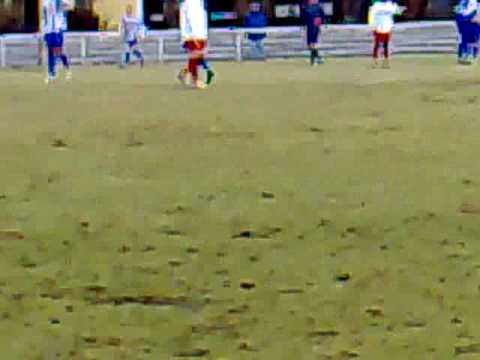 hertha bsc amateure 2