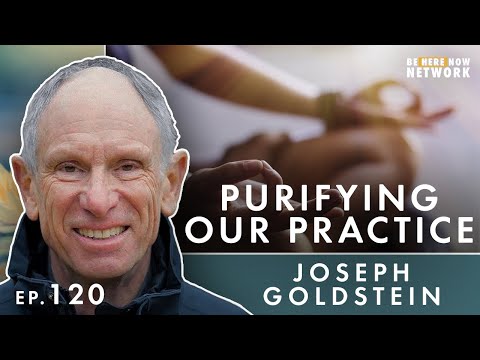 Purifying Our Practice with Joseph Goldstein - Insight Hour Ep. 120