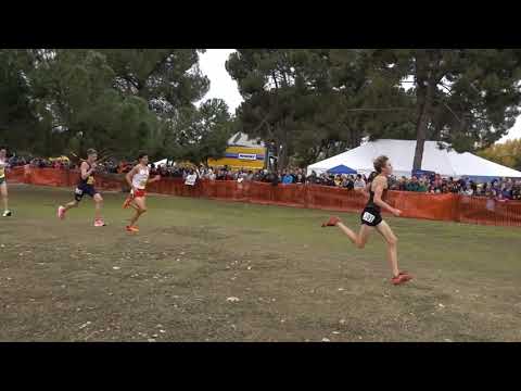 2019 CIF State Cross Country Championships D3 Boys