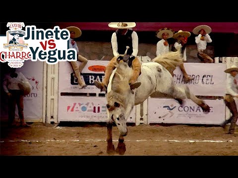 Addicted to Danger - 2022 Zacatecas Congress - Mare Riding - October 30