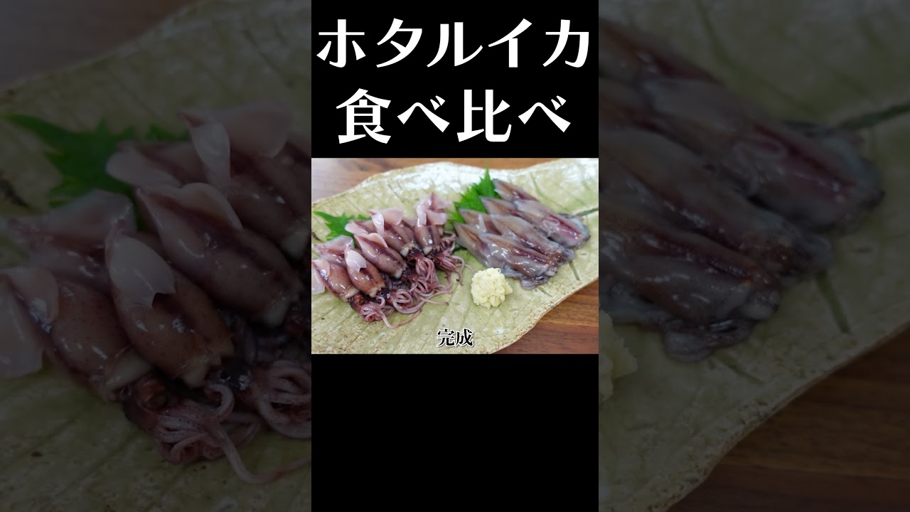 聖地富山産のホタルイカを生とスチームで味わう！#shorts  #ホタルイカ 刺身 #食べ比べ #富山