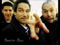 Beastie Boys - Electric Worm (THE MIX UP) 2007