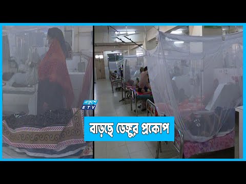 ডেঙ্গুর বিস্তার ভয়াবহ হয়ে উঠছে