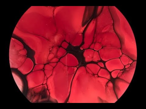 (321) Bloom Pour - Acrylic Fluid Pouring - Lady in Red