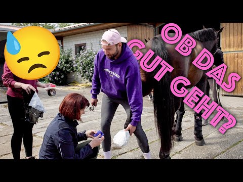 Our new home - we're moving! 😭🏡➡️🐴