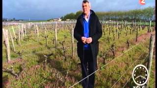 preview picture of video 'Organic wine in Sauternes - Chateau Guiraud'