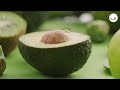 El aguacate: propiedades y beneficios