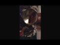 Dubstep Cockroach