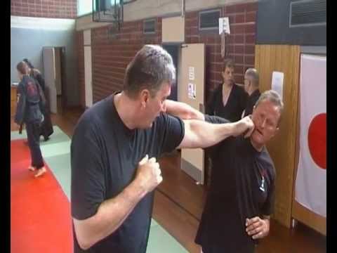 11. Dju Su Lehrgang Budoclub Roter Drache "What the Pupils do"