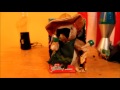 Dancing Hamster Hombre
