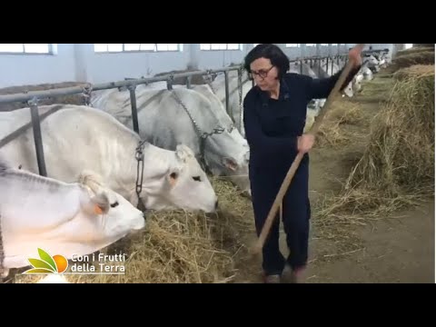 Puntata del 5/4/20 – 1° parte –  Florovivaismo e zootecnia ai tempi del Coronavirus