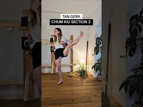 WING CHUN KICK from Chum Kiu Form (Sinking the Bridge) #wingchun #wingchunkicks #kungfu #ipman