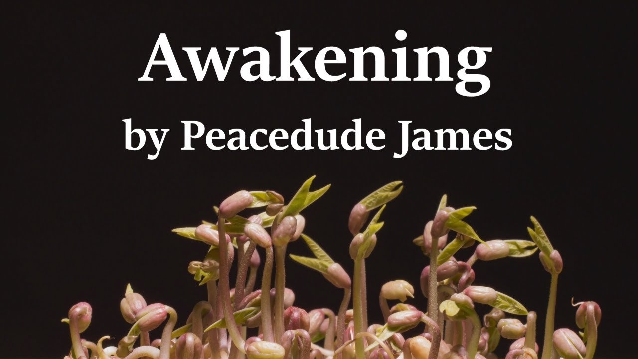 Promotional video thumbnail 3 for James, the Peacedude Guy