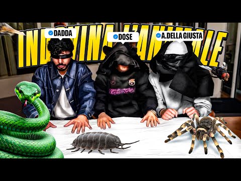🐍INDOVINA L'ANIMALE Con Il Rosso,Ale Della Giusta,Dose,Dadda & Tomas Montagna!