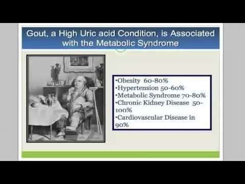 Prof. Richard Johnson - 'Sugar and its Role in Driving Obesity and Fatty Liver'