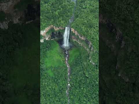 #cachoeirasgigantes #trilhas #ecoturismo #paraná #prudentópolis #turismonoparaná #natureza #viagem