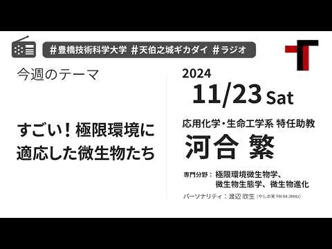 【音声】やしの実FM 天伯之城ギカダイ 2024/11/23【ラジオ】