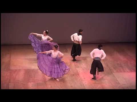 Javier Meza, Héctor Portillo, Ana Godoy, Camila Fleytas, Danza Paraguaya