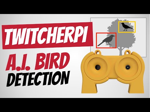 YouTube Thumbnail for Build your own Bird Detector with A.I., TwitcherPi: The Raspberry Pi Camera Bird Classifier