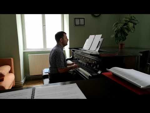 Michel Sogny: 4-es és 5-ös etüd Árpitól 🎹😍🎶