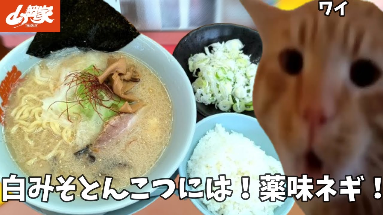 【山岡家】濃厚白みそとんこつラーメンをリベンジだ！薬味ネギとライスも頼んで腹パンになれ！！という話【クセになる味】#猫ミーム  #猫マニ