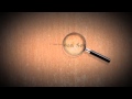Magnifying Glass Logo Animation