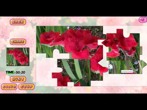 Puzzles of Flowers