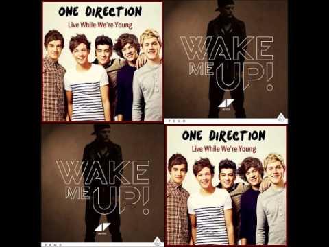 Avicii Vs One Direction   Wake Me Up While We're Young Adast Mashup Edit)