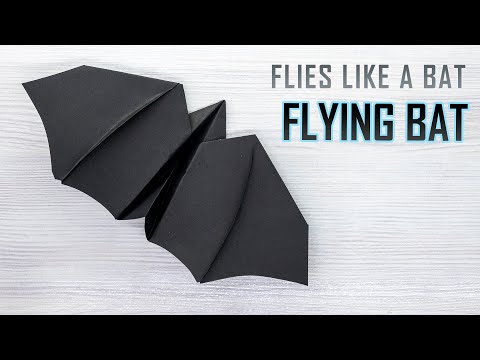 Kuinka tehdä paperilentokone, joka lentää kuin lepakko