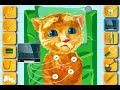 Ginger Heart Surgery Animals Game