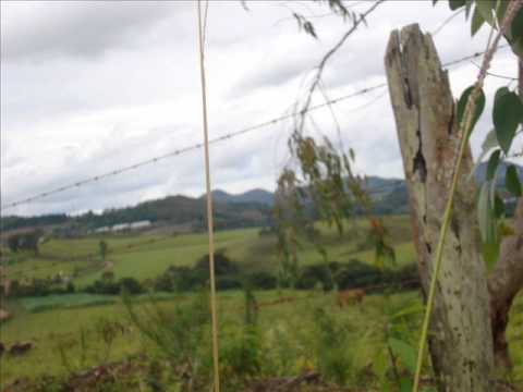 Brazil 135 ultramarathon 2012