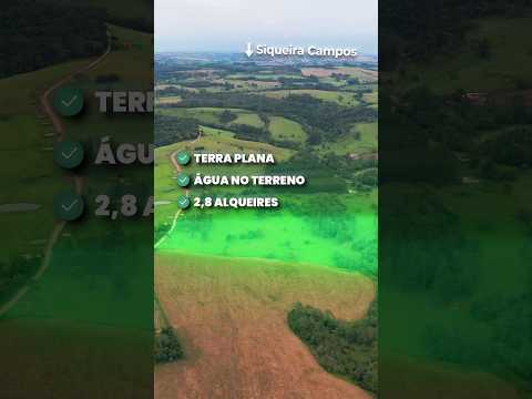 SÍTIO Á VENDA DE 2,8 ALQUEIRES COM ÁGUA NA PROPRIEDADE | SIQUEIRA CAMPOS/PR
