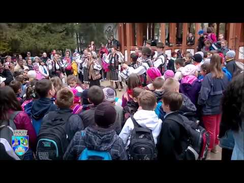 ZILELE MUNICIPIULUI VATRA DORNEI 2015