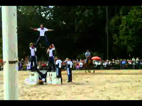 apresentação da cavalaria