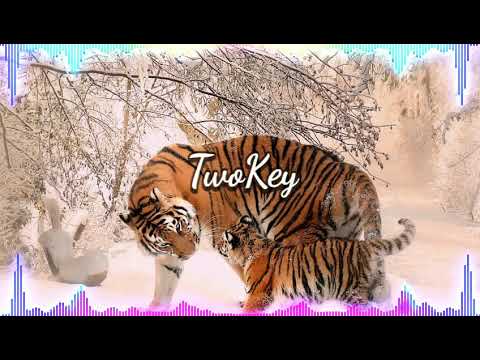 Avee player template #31 Free Download (DJ Inappropriate - Bumfuzzle 2017)