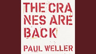 The Cranes are Back (Edit)