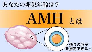 4.AMHとは？その他、血液検査で分かること