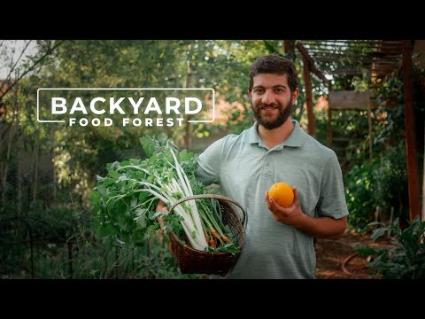 7 Years Growing a MASSIVE Food Jungle in the Suburbs | PARAGRAPHIC