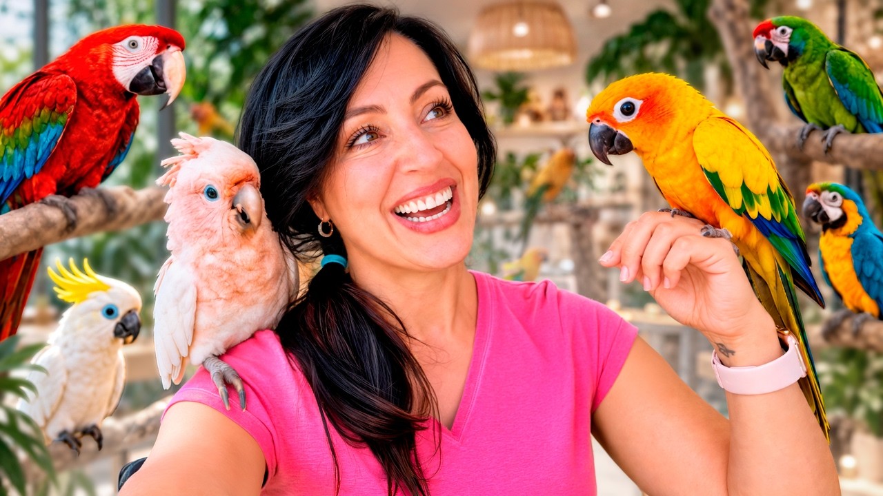 Descubrimos Una Tienda de Aves Exóticas 🦜 Sandra Cires Vlog