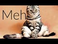 Meh