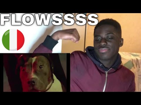 TY1 Ft. Noyz Narcos & Speranza - Sciacalli (Official Video) REACTION ! 🇮🇹