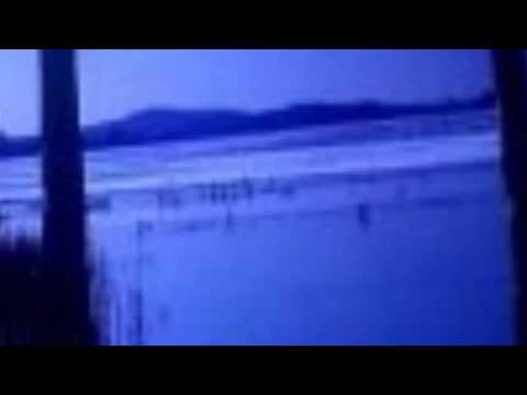 Schrill heulten die Sirenen