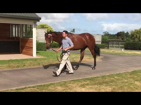 Lot 369 Makfi   Medrano 16