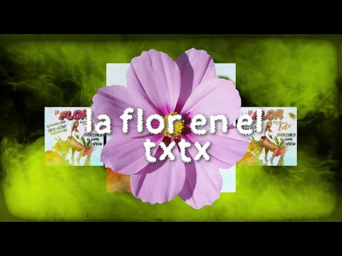 LA FLOR EN EL TxTx 💮 ▶️ EL CHERRY SCOM ❌ CEKY VICINI ❌ HARACA KIKO ❌ CHIREYRD ❌ EL DOMY ❌ EL PATRON